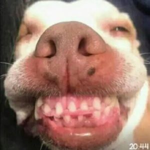 Meet your Posher, Isaka